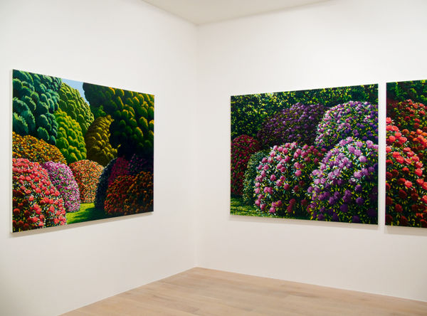 Maughan 2015 Halcombe Installation Image 10