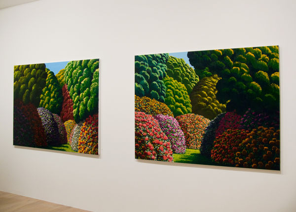 Maughan 2015 Halcombe Installation Image 5