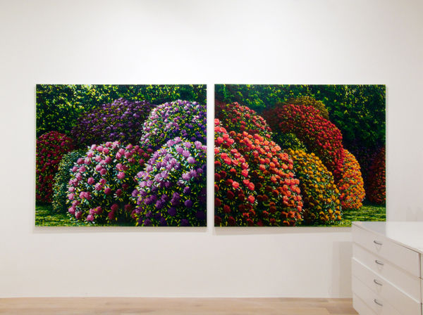 Maughan 2015 Halcombe Installation Image 8