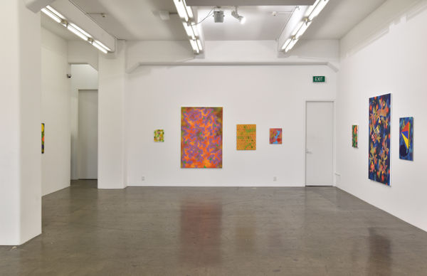 Hughes Butterfly Effect Installation View 1