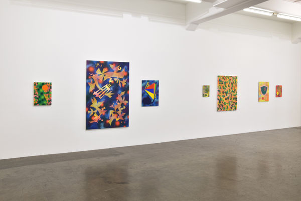 Hughes Butterfly Effect Installation View 4