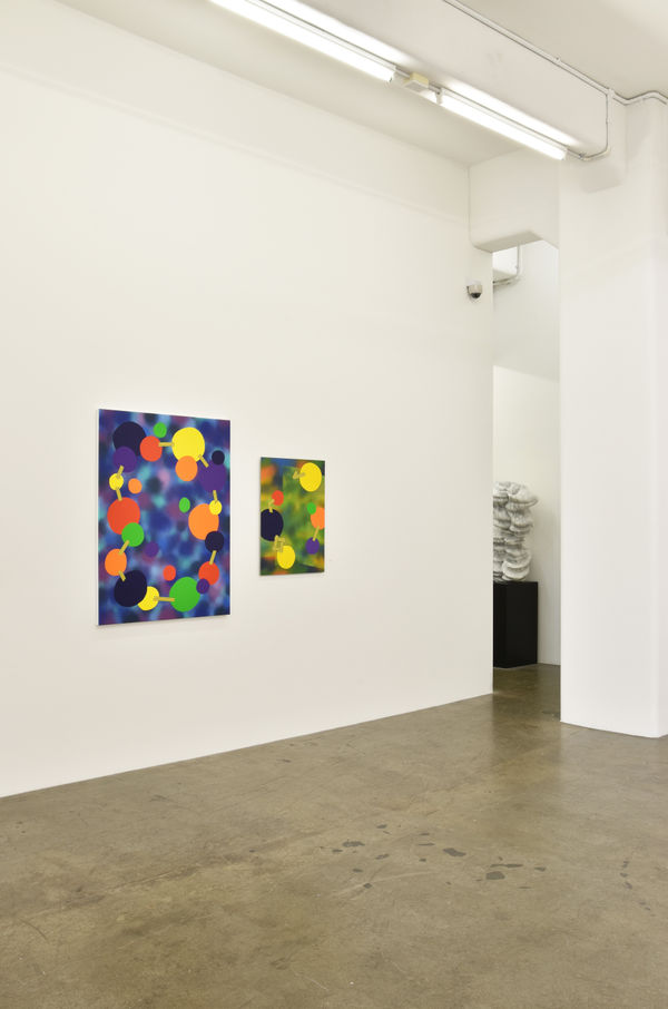 Hughes Butterfly Effect Installation View 5
