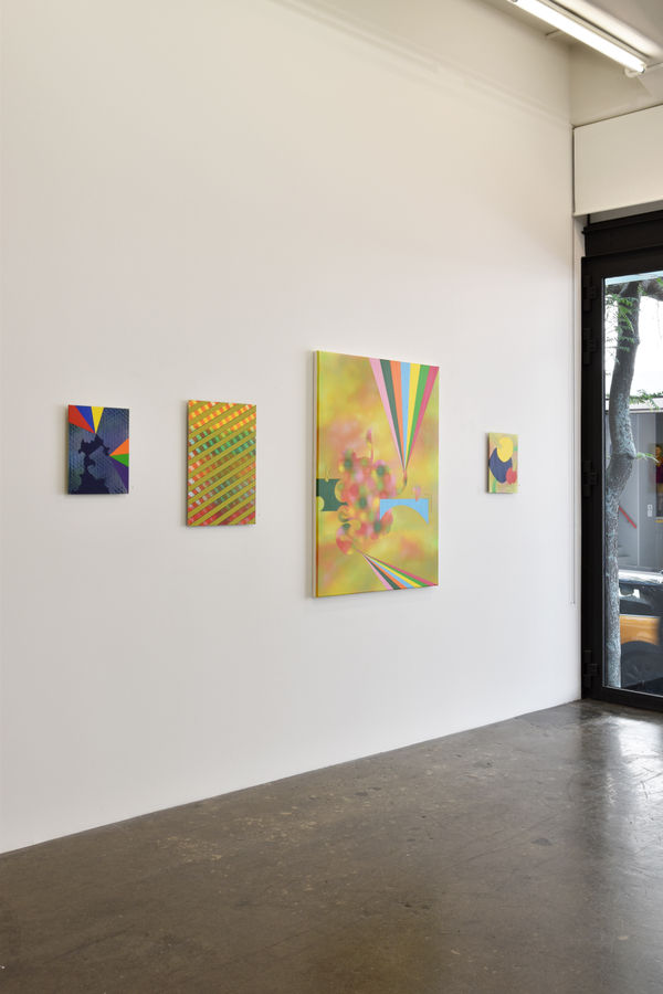 Hughes Butterfly Effect Installation View 9