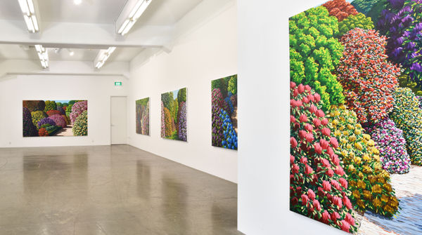 Maughan 2017 Installation View 2