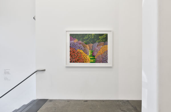 Maughan 2017 Installation View 3