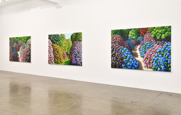 Maughan 2017 Installation View 5