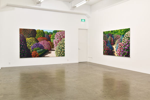 Maughan 2017 Installation View 6