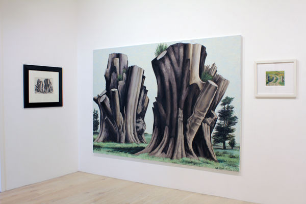 Frizzell 2015 Up The Road Installation Image 12