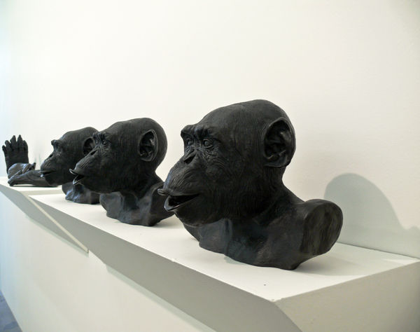 Lisa Roet 2011 Installation View 3