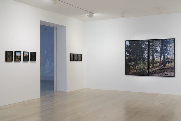 Carr How To Disappear Installation View Sam Hartnett Web 13