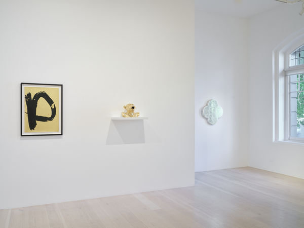 Specular 2026 Installation Sam Hartnett Web 18