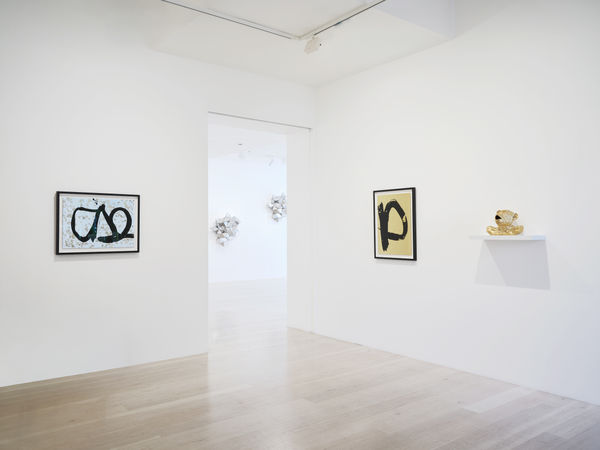 Specular 2026 Installation Sam Hartnett Web 19