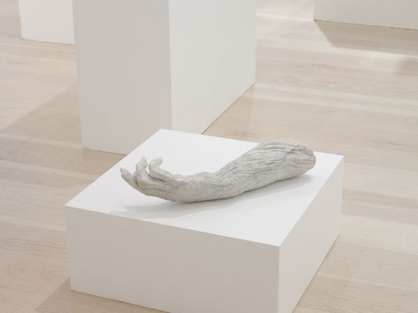 Intimate Perspectives 2023 Installation Sam Hartnett Web 24