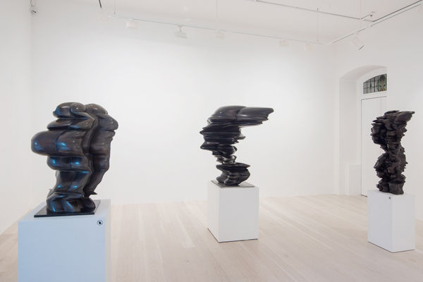 Cragg 2021 Three Sculptures Installation 3 Tobias Kraus Web Ed