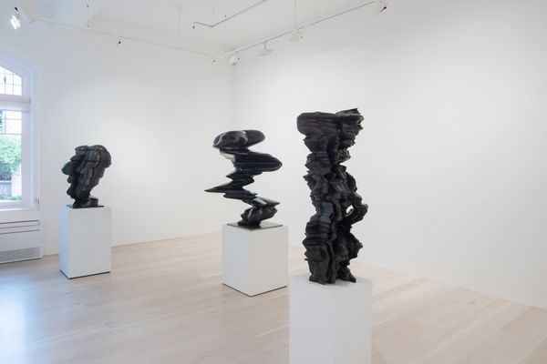 Cragg 2021 Three Sculptures Installation 6 Tobias Kraus Web