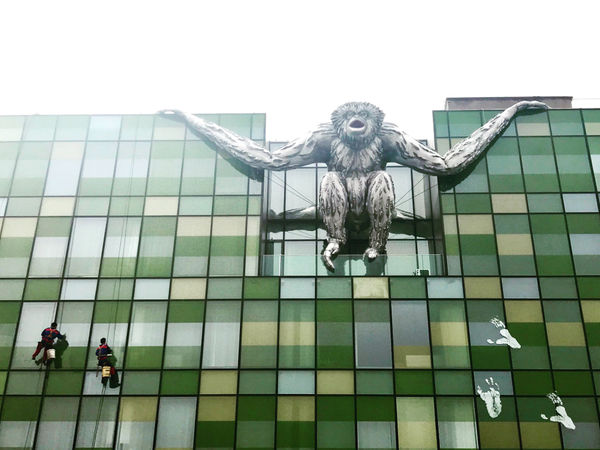 Lisa Roet's Skywalker Gibbon in Beijing