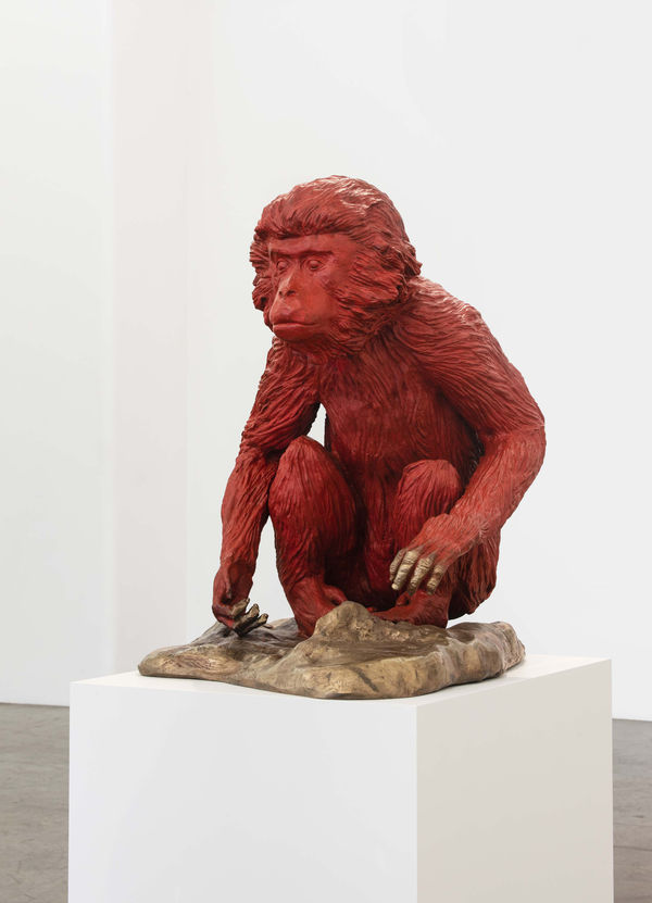 Roet, Red Monkey, 2020. Image Credit: Tobias Kraus