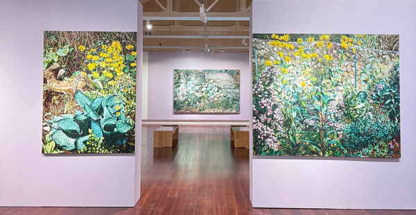 Karl Maughan: A Clear Day at The Suter Art Gallery, Nelson