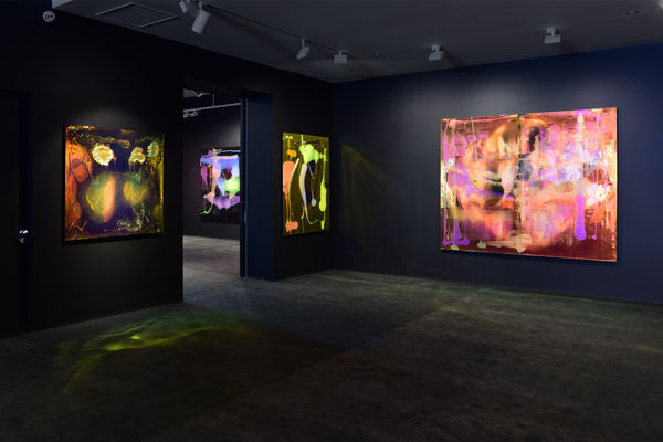 Dale Frank, Exhibition Overview