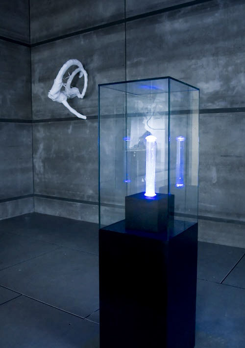 20100327 2 Kawarga Kulik