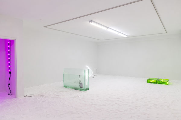Saskia Noor Van Imhoff 40 00 17 October 13 December 2019 202 Bowery New York Installation 1 Retouched 2019
