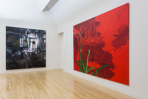 Tjebbe Beekman, Ilya's Birthroom (2008), in: Freedom. Fifty Key Dutch Artworks Since 1968, curated by Hans den Hartorg Jager. Museum De Fundatie, Zwolle (NL), 2019.