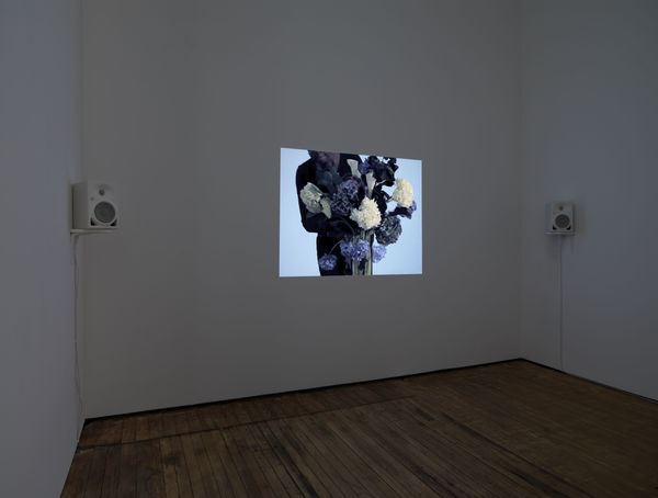 Cauleen Smith Install View Copy