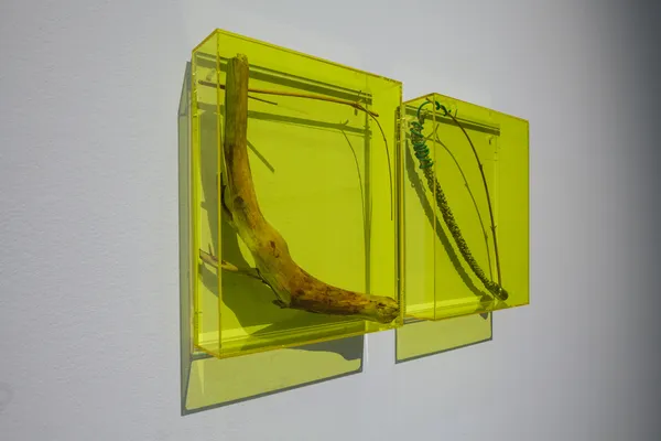 De Botanische Revolutie T202102 070