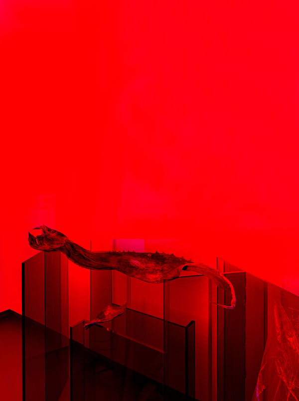 006 Saskia Noor Van Imhoff Fries Museum Seeds Of Memory 2023 Ph Gj Vanrooij