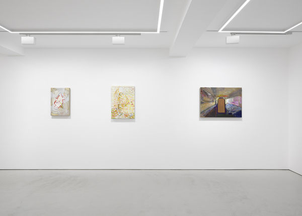 Installation View Landing Grimm London Uk 2023 6 Lr