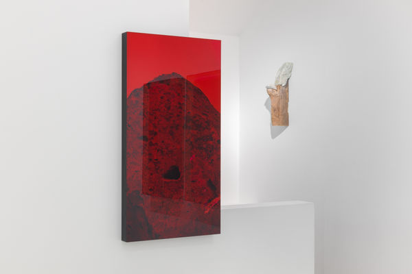 Installation View Mineral Lick Grimm London Uk 2024 17