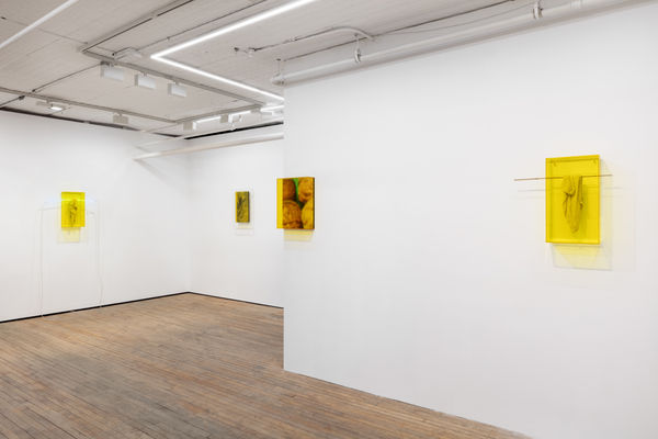 Saskia Noor Van Imhoff Grafting 2022 Instal 2