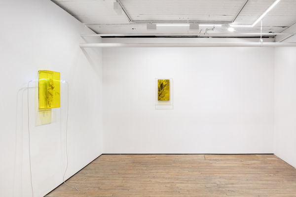 Saskia Noor Van Imhoff Grafting 2022 Instal 3