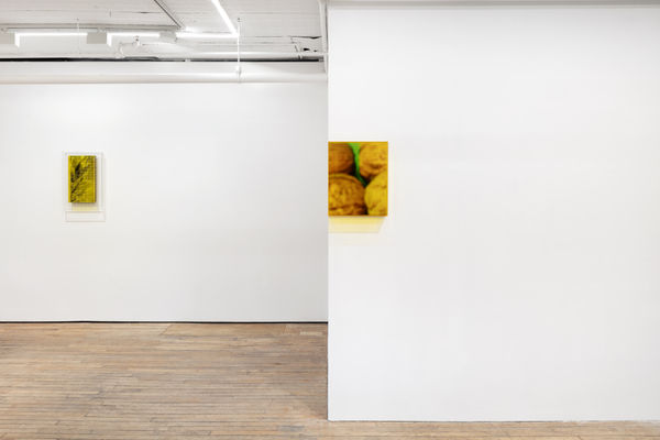 Saskia Noor Van Imhoff Grafting 2022 Instal 4