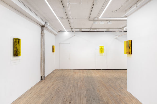 Saskia Noor Van Imhoff Grafting 2022 Instal 5