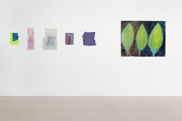 Rosalind Nashashibi Red Sea