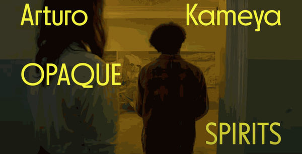 'Opaque Spirits' by Arturo Kameya in Marres, Maastricht