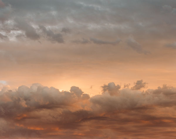 Opaque and transparent meanings