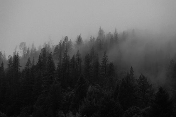 Vibrancy: Exposure and Sound (duplicate)