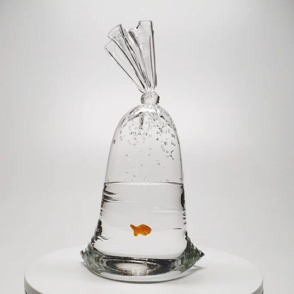 Dylan Martinez Goldfish Cracker