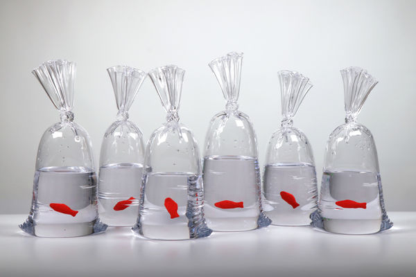 Introducing Dylan Martinez's Newest Series