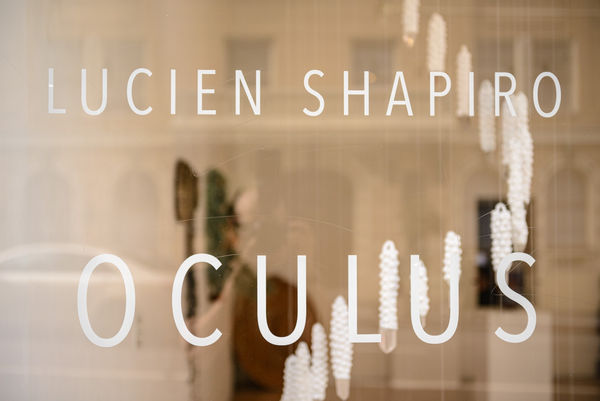 Installation view of Lucien Shapiro's solo show "Oculus", featuring found-object ritual sculptures