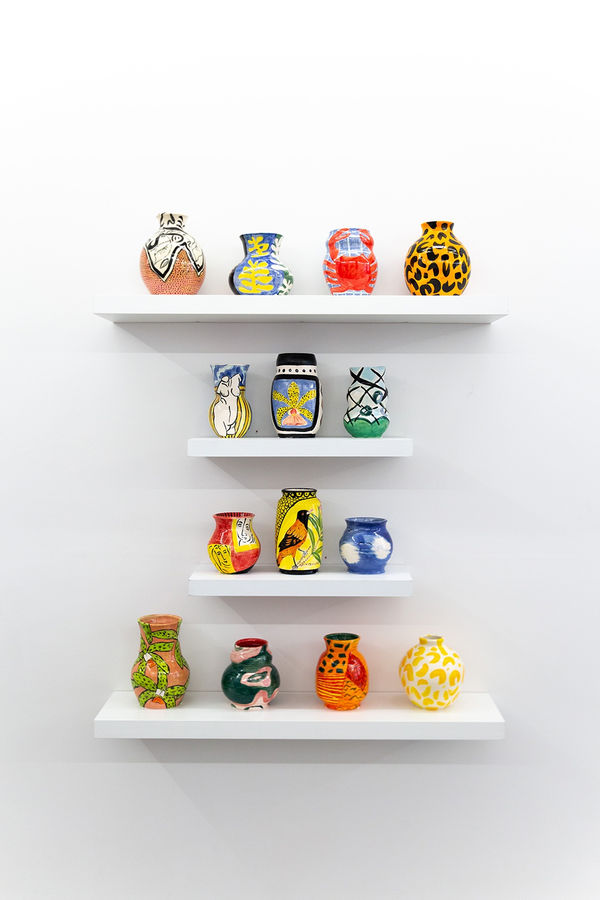 Anna Valdez "Natural Curiosity" installation