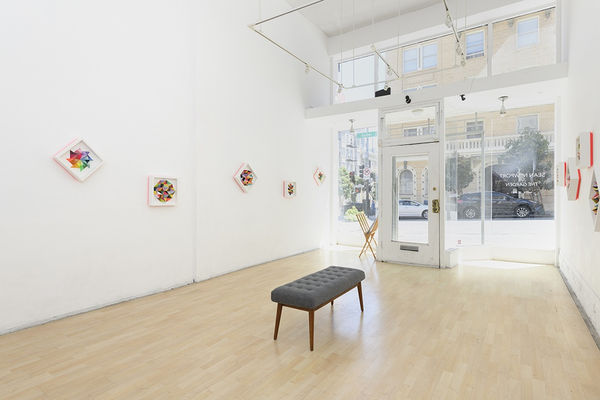 Installation image from Sean Newport's "The Garden" exhibition at Hashimoto Contemporary SF