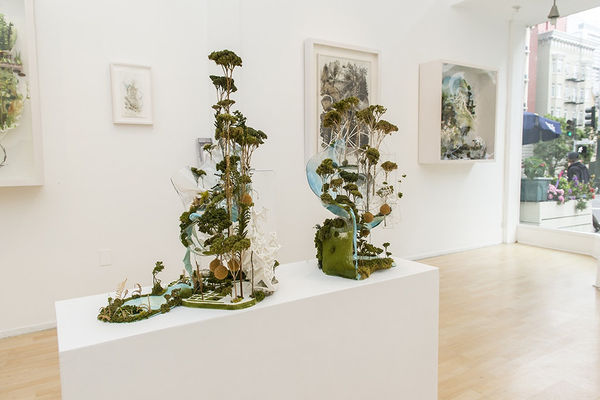 Gregory Euclide 'Extract' installation at Hashimoto SF