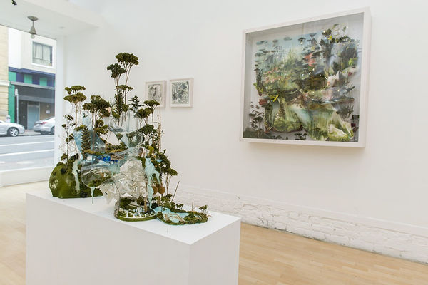 Gregory Euclide 'Extract' installation at Hashimoto SF