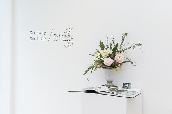 Gregory Euclide 'Extract' installation at Hashimoto SF