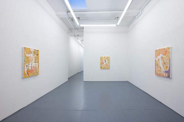 installation shot of Mu Pan exhibition "To Have A Mother Means Milk"