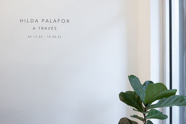 Photo of title Vinyl in Hilda Palafox show