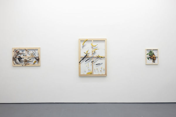 white wall with three paintings next to each other at Stephen Morrison Dog Show #4: House Broken exhibit